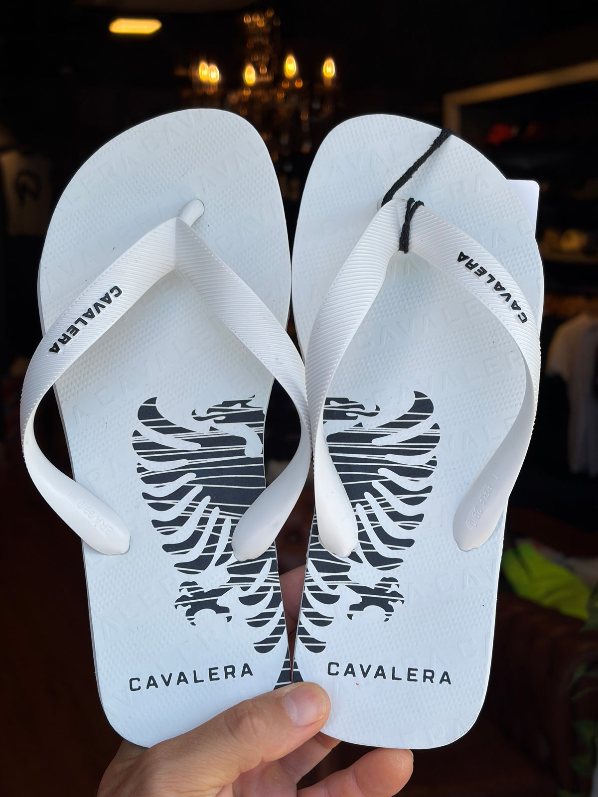 Chinelo Cavalera Águia