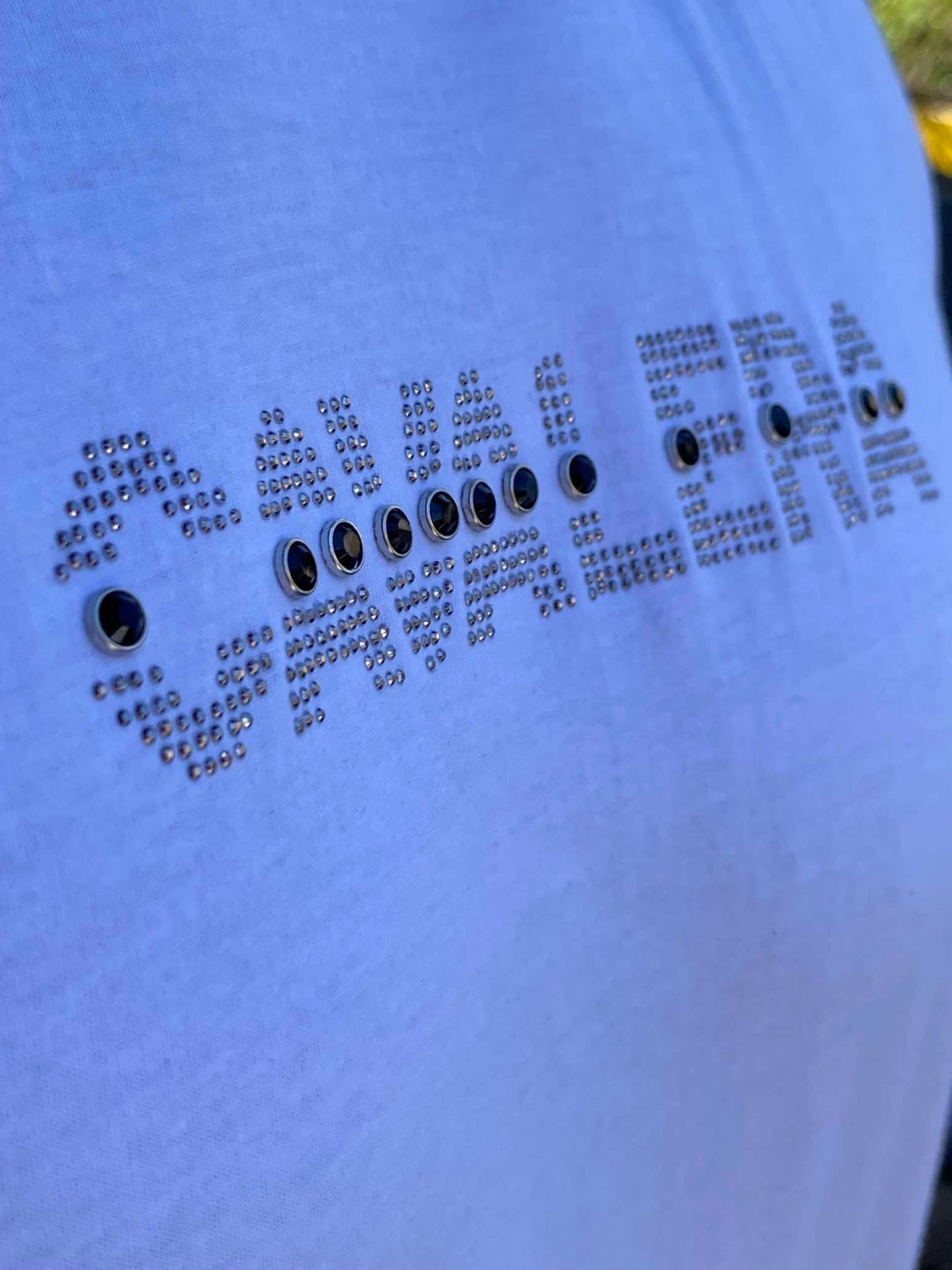 Camiseta Cavalera Stones