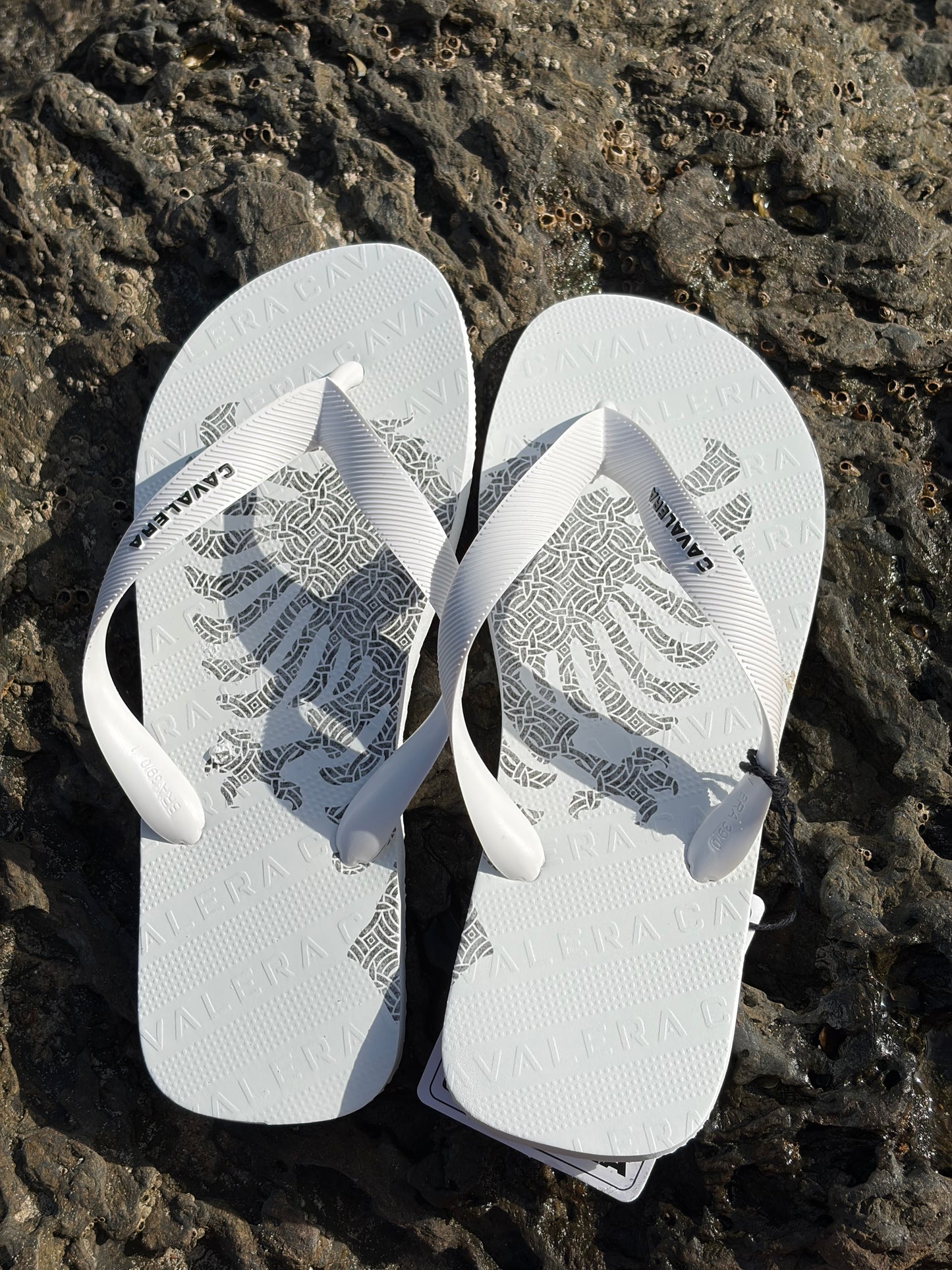 Chinelo Cavalera Águia Logo