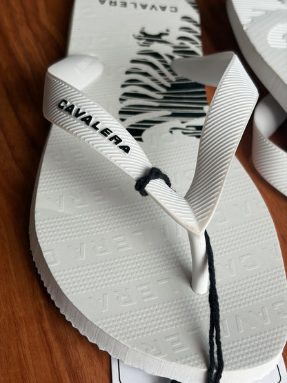 Chinelo Cavalera Águia