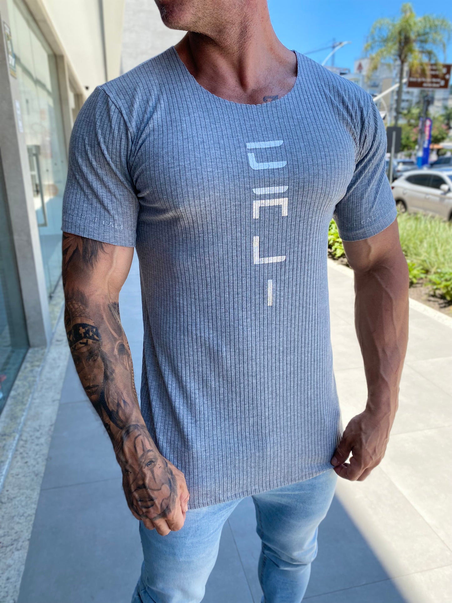 Camiseta Cali Canelada Grey