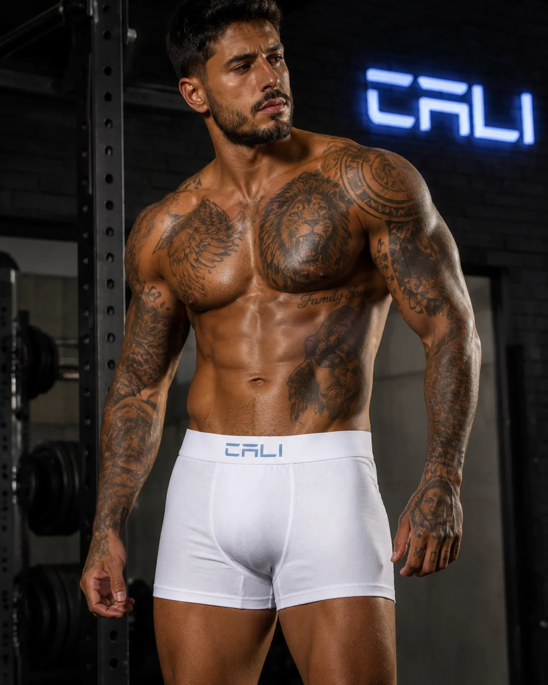 Kit com 3 Cuecas Cali