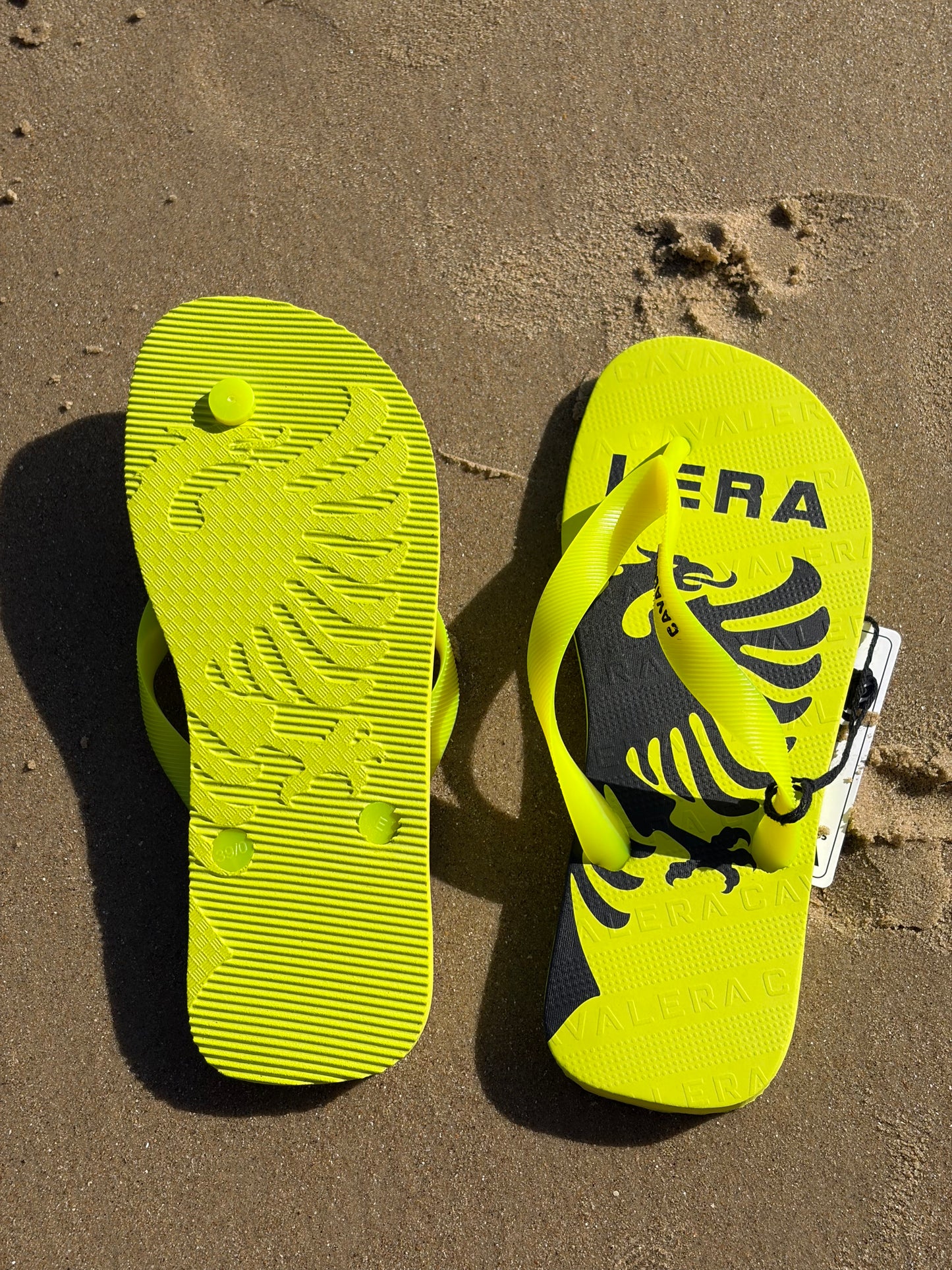 Chinelo Cavalera Neon